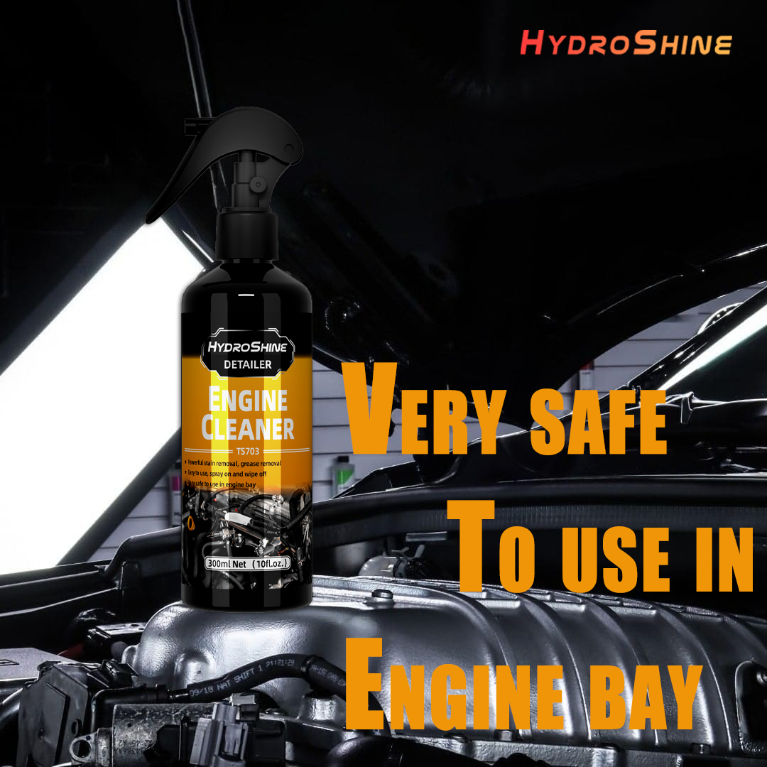 Hydroshine Engine Bay Cleaner  - Screen Cleaner Spray review and price